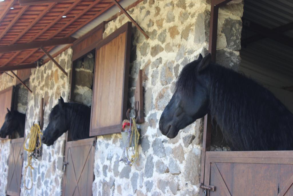 Отель Rancho San Antonio Уаска-де-Окампо Экстерьер фото